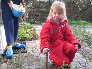 Willemijn moet ze zoeken